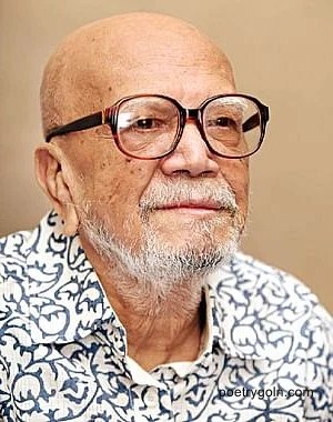 আল মাহমুদ প্রকাশিত গ্রন্থসমূহ